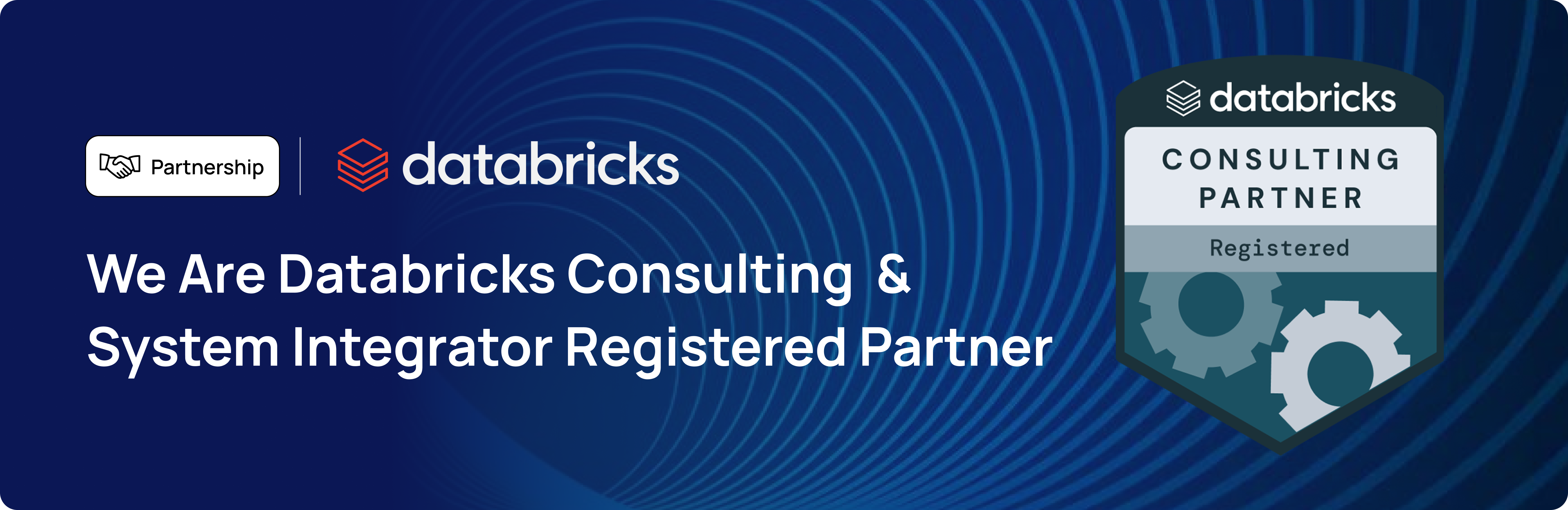 Databricks Consulting Partner